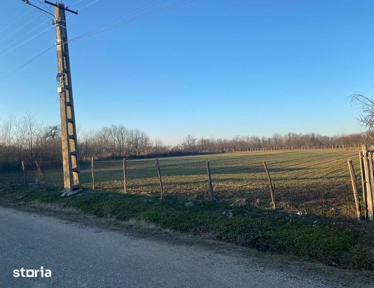 Teren de 1662 mp, în Poiana Lacului