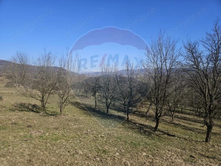Teren de 4627 mp, în Giulești