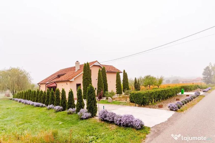 Casă cu 4 camere cu Teren 3200 Mp în Archiș