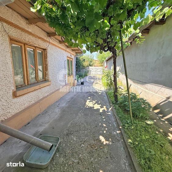 Teren de 446 mp, în Central