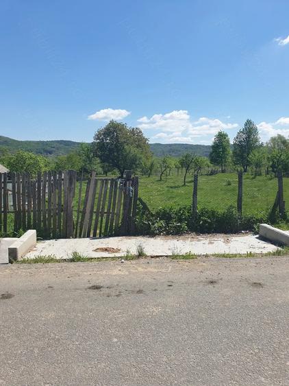 Teren de 19116 mp, în Jupânești