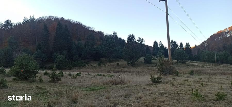 Teren de 1810 mp, în Brebina
