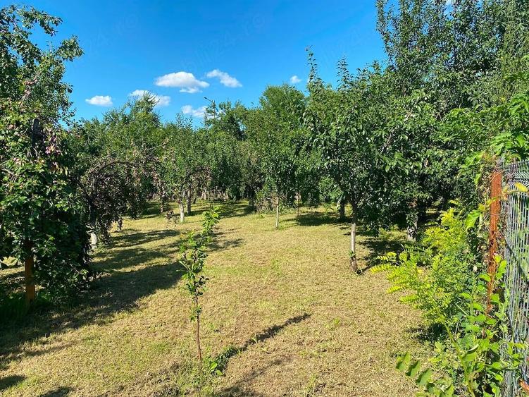 Teren de 560 mp, în Tăriceni