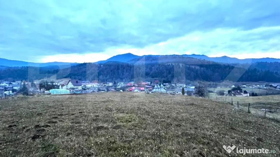 Teren de 2500 mp, în Colibița