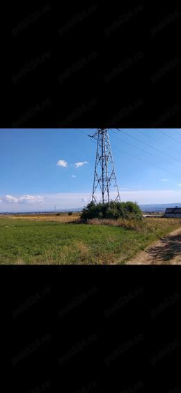 Teren de 3100 mp, în Burdujeni