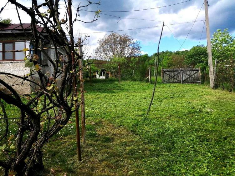 Casă cu 3 camere în Provița de Jos