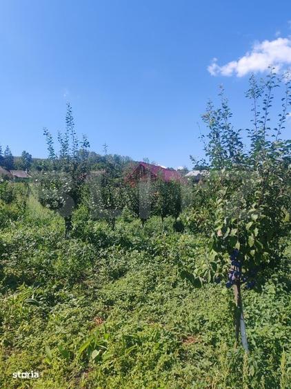 Casă cu 1 camere în Mihăiești