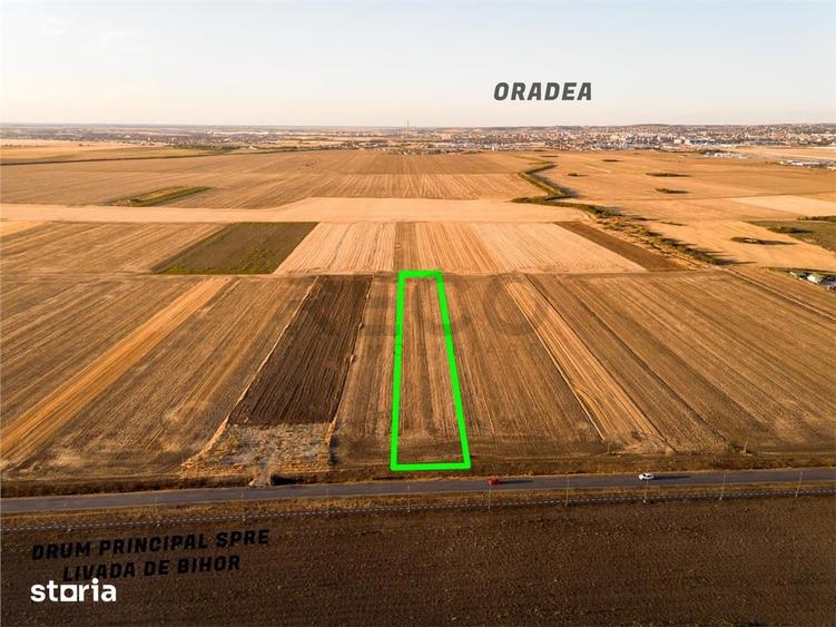 RECO Teren extravilan 5755 mp Oradea zona Drumul expres Oradea- Arad - 7