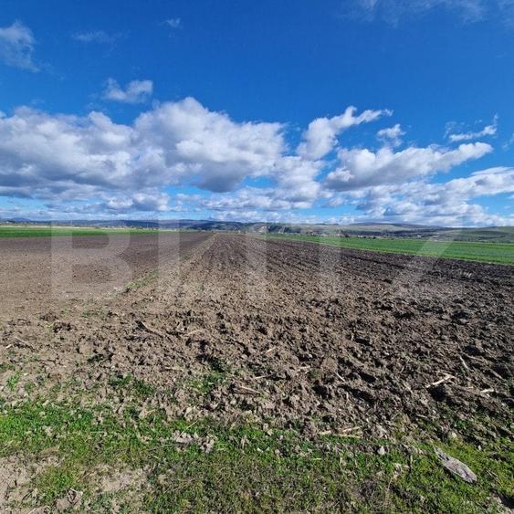 Teren agricol extravilan de 15000 mp, în Bod