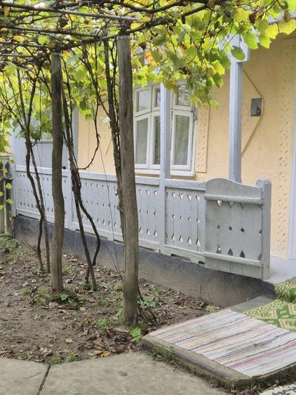 Teren în Pădureni (Șendriceni)
