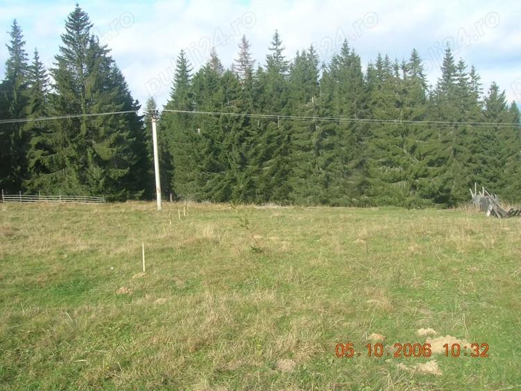 Teren de 5000 mp, în Central