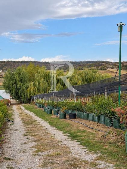 Spațiu industrial, de 100 mp, în Hidișelu de Sus