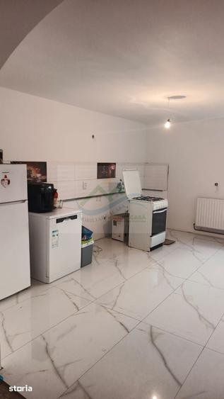 Casă cu 2 camere cu Teren 1250 Mp în Berchișești