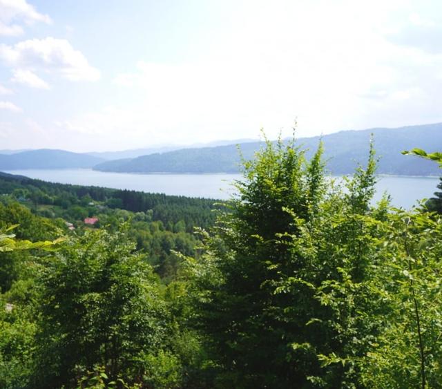 Teren agricol intravilan de 1723 mp, în Hangu
