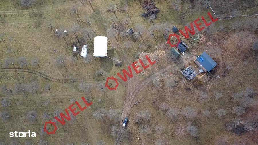 Teren extravilan de 25.274 m2 de vanzare in Calnic, langa padure! - 5