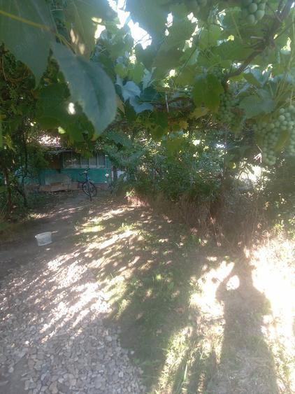 Casă cu Teren 1450 Mp în Central