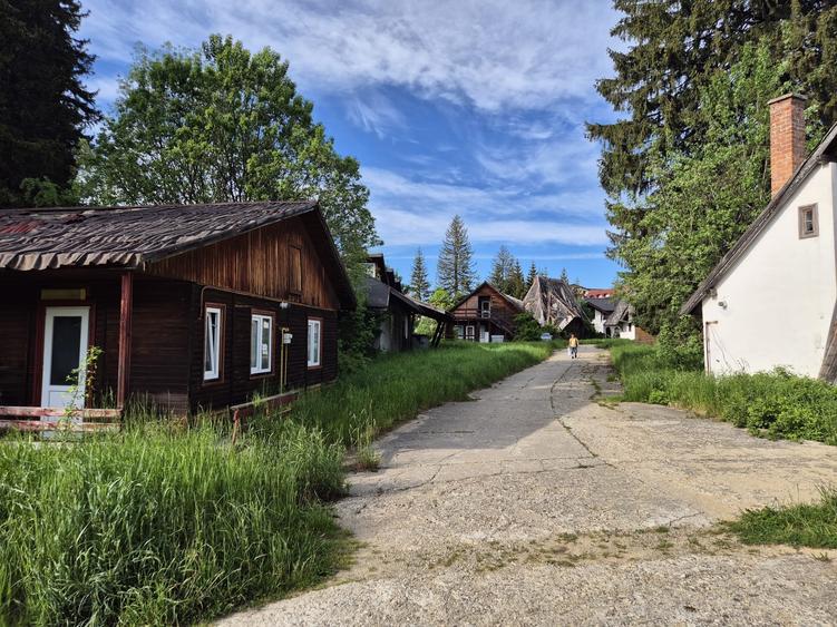 Teren Construcții intravilan de 2706 mp, în Poiana Brașov