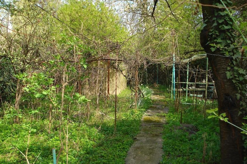 Casă cu 3 camere cu Teren 630 Mp în Bălcescu