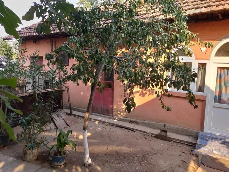 Casă individuală cu 5 camere cu Teren 1088 Mp în Lipovu