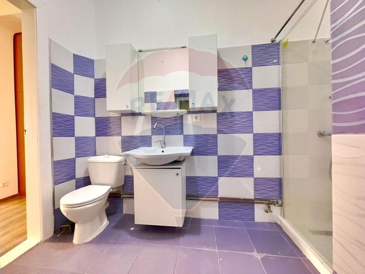Casă individuală cu 6 camere cu Teren 365 Mp în Elisabetin