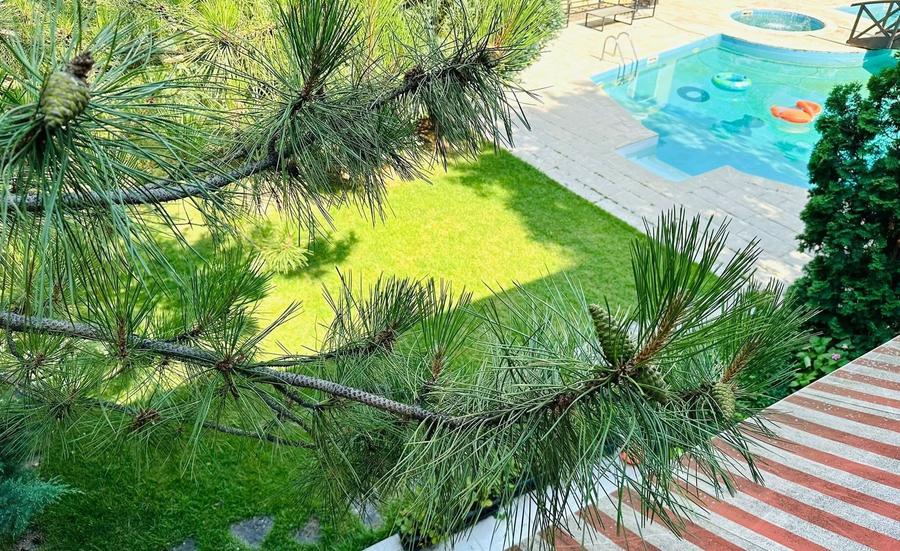 Casă cu 5 camere cu Piscina în Corbeanca