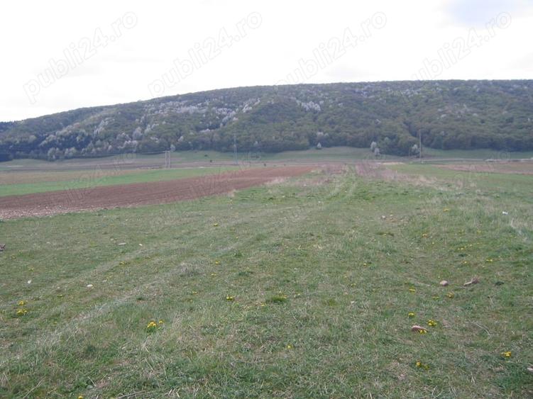 Teren în Central