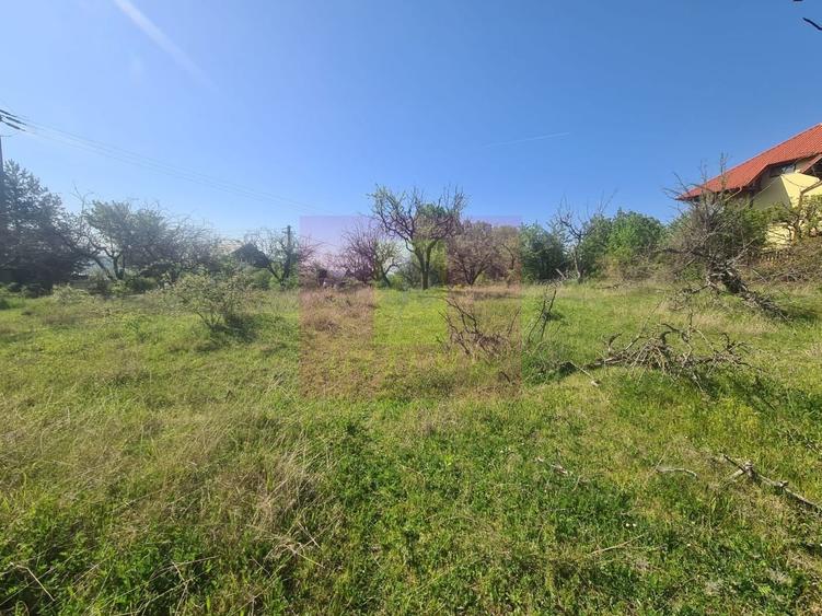 Teren Construcții intravilan de 2500 mp, în Voila
