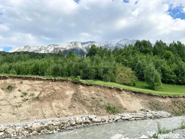 Teren de 12150 mp, în Plaiul Foii