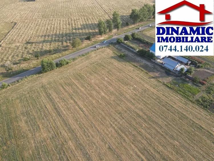 Teren intravilan de 17000 mp, în Calea Romanului