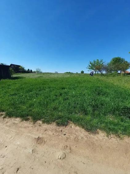 Teren de 3960 mp, în Oncea