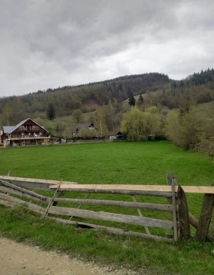 Teren de 2990 mp, în Molid