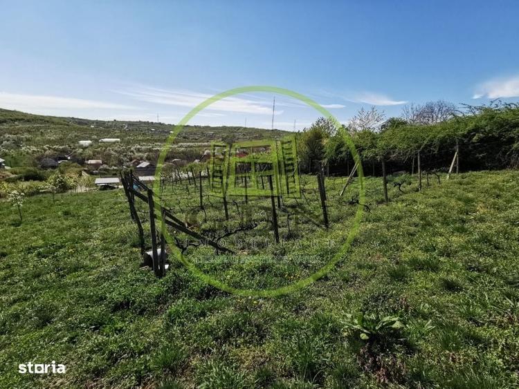 Casă cu 2 camere în Sântandrei