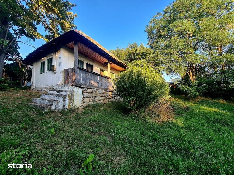 Teren de 3250 mp, în Păușești