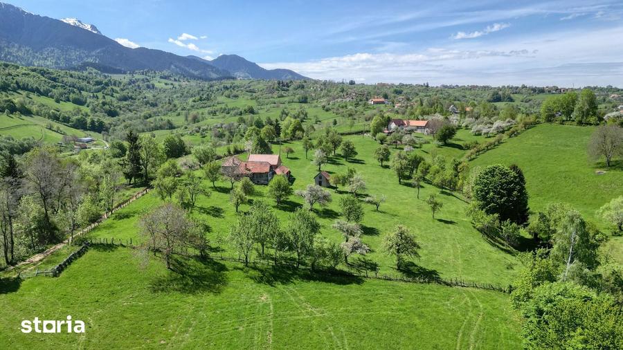 Teren de 15856 mp, în Bran