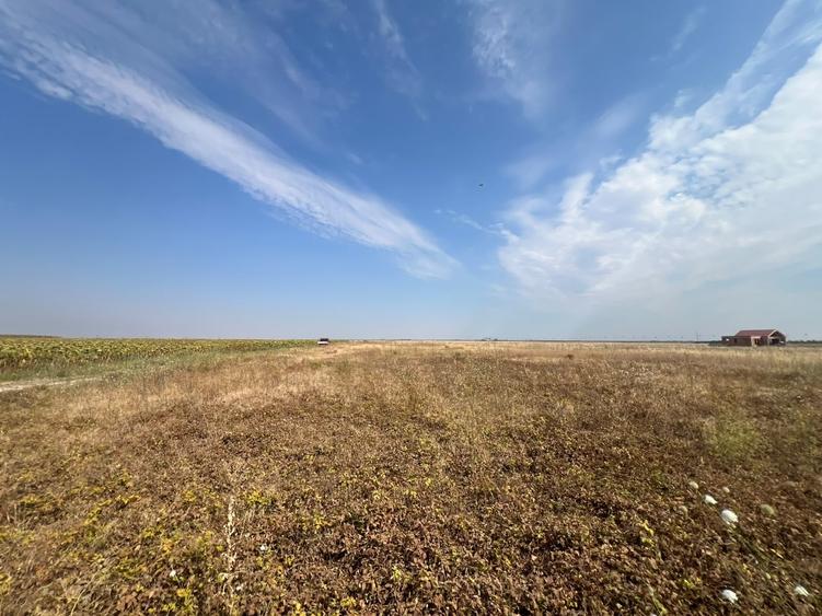 Teren Construcții intravilan de 733 mp, în Sânandrei