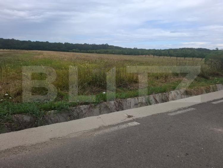 Teren Construcții intravilan de 2500 mp, în Șuța Seacă