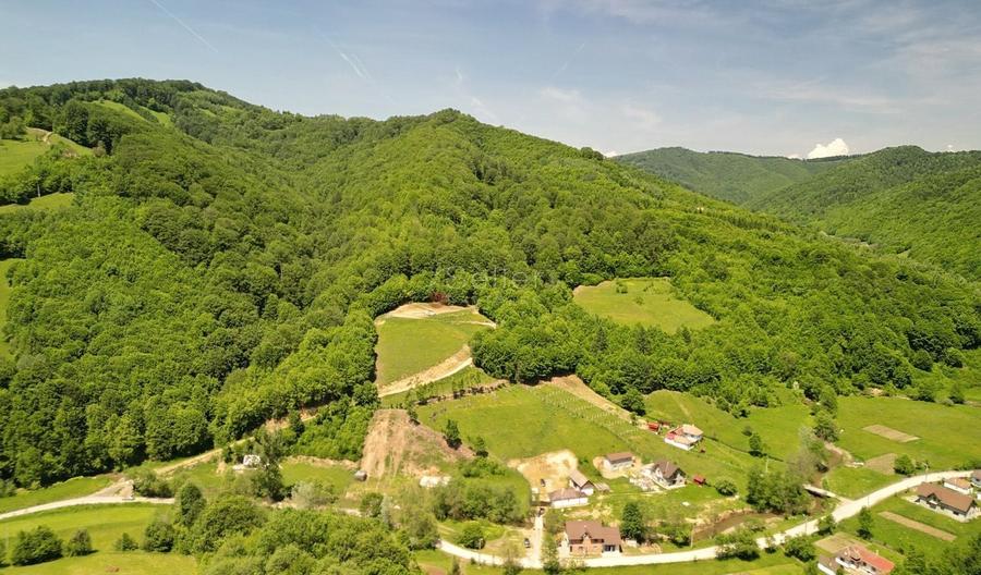 Teren Construcții extravilan de 16000 mp, în Poiana Mărului