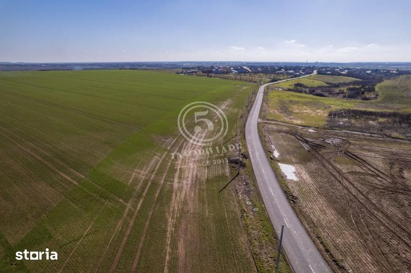 Teren de 80000 mp, în Vasilați