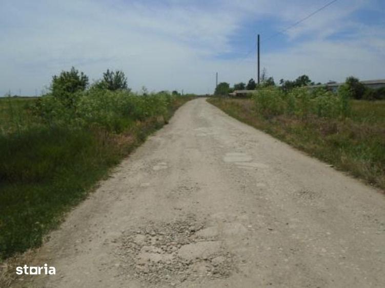 Teren de 10151 mp, în Mihăilești