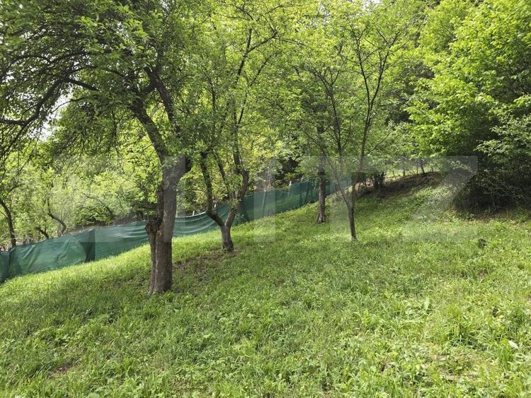 Casă individuală cu 2 camere cu Teren 830 Mp în Ciucea