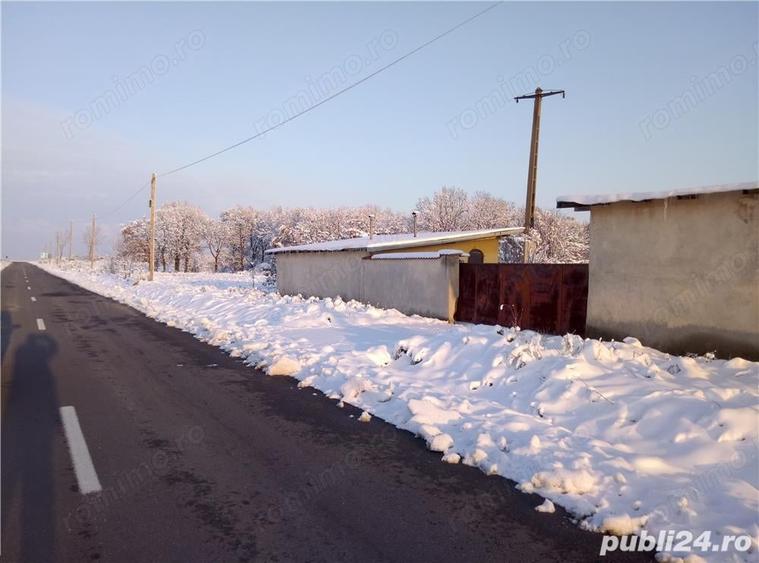 Teren de 5000 mp, în Bucovăț