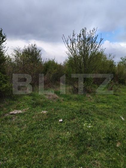 Teren Construcții intravilan de 8280 mp, în Centură
