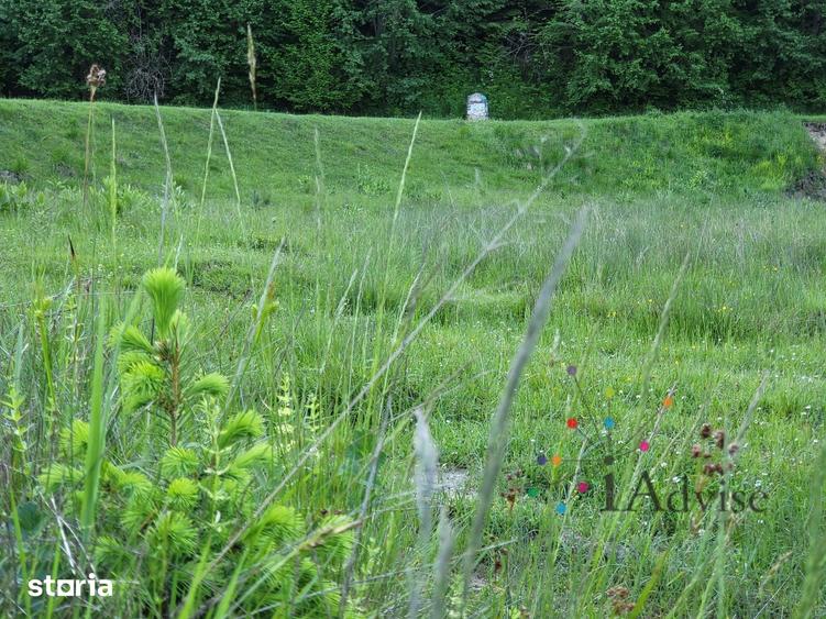 Teren de 12000 mp, în Vama Buzăului