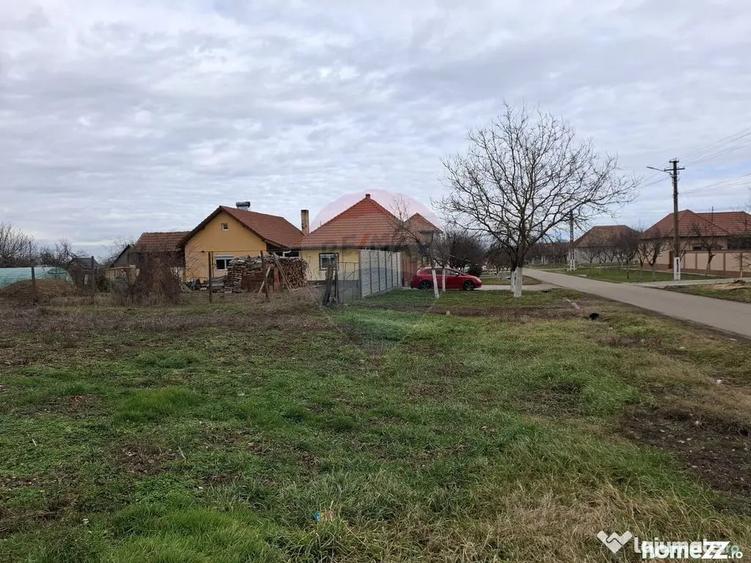 Teren în Frumușeni