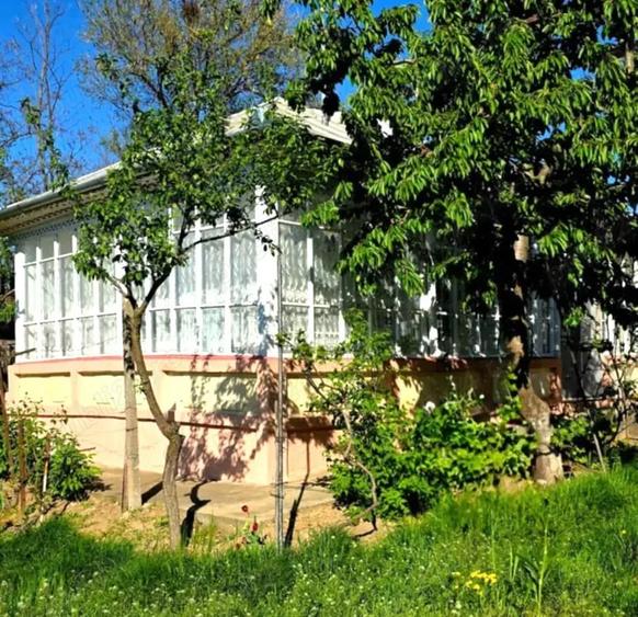 Casă cu 4 camere cu Teren 1036 Mp în Odaia Manolache