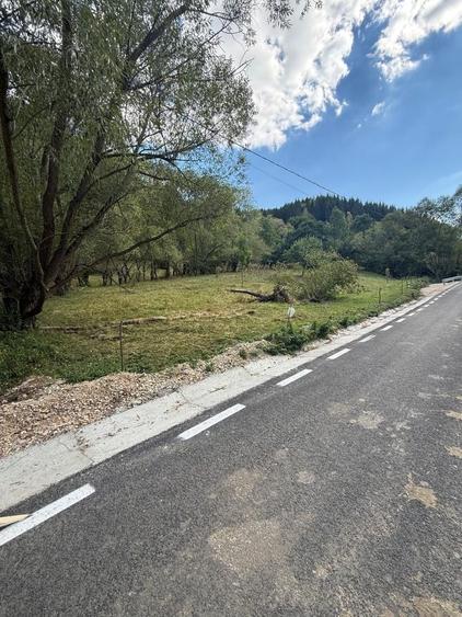 Spațiu comercial, în Valea Poienii