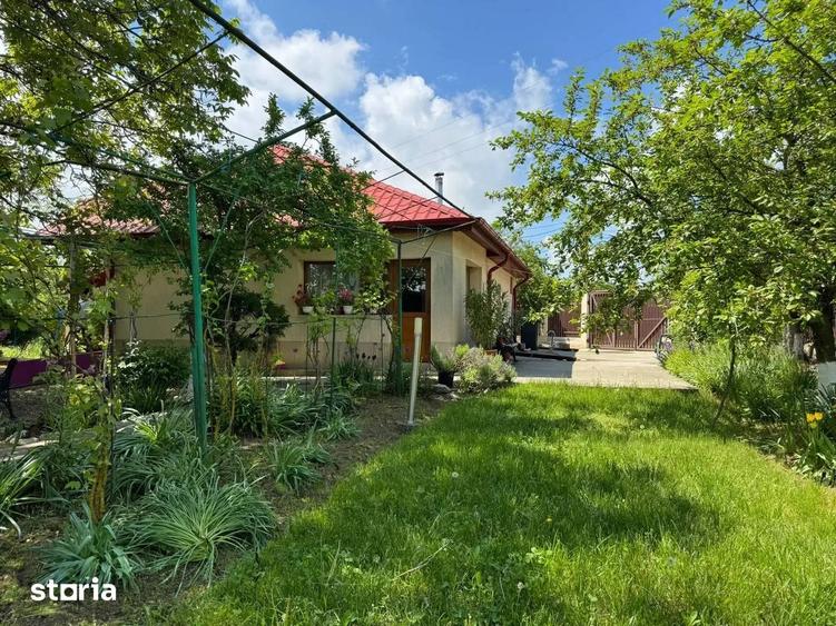 Casa cu 4000 mp teren, Letca Noua, Giurgiu 40 min de Bucure?ti - 16