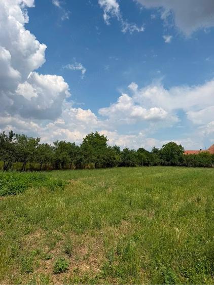 Teren de 2595 mp, în Pișchia