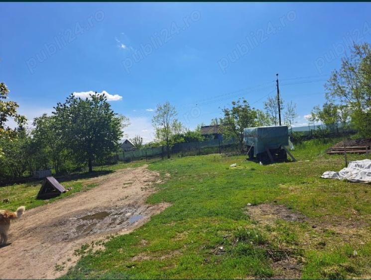 Casă cu 3 camere în Sulița