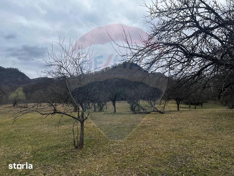 Teren de 12458 mp, în Meteș